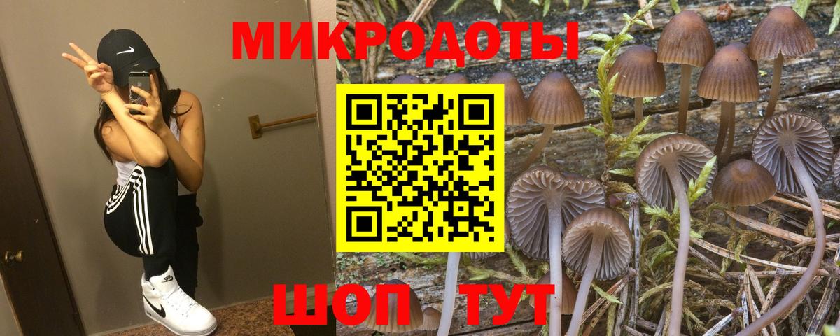 Междуреченск  Псилоцибиновые грибы мицелий  Вход с VPN  Псилоцибиновые грибы Cubensis 