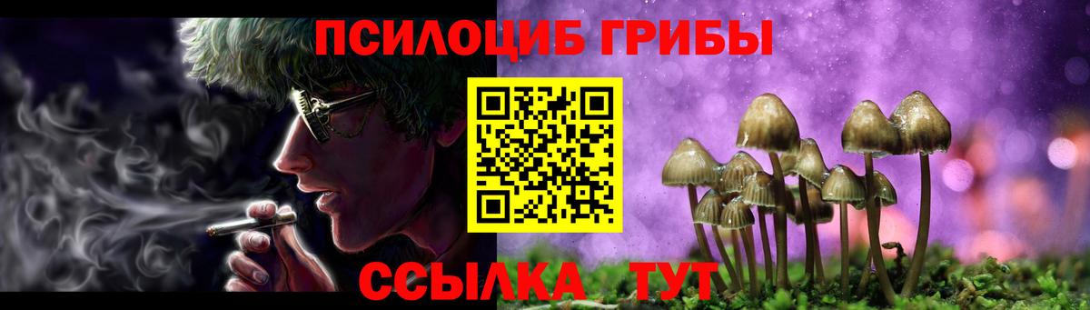 Галлюциногенные грибы GOLDEN TEACHER Междуреченск